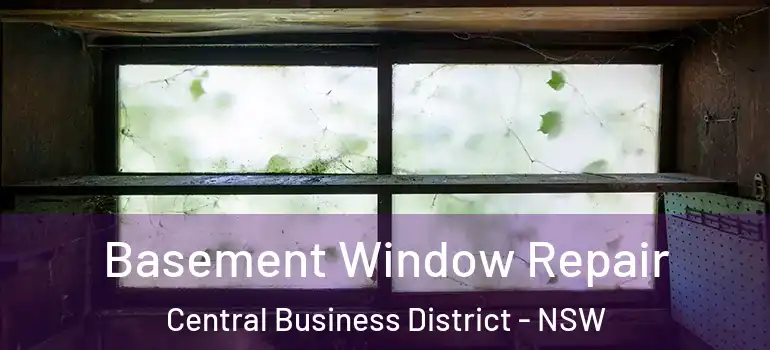 Basement Window Repair Central Business District - NSW
