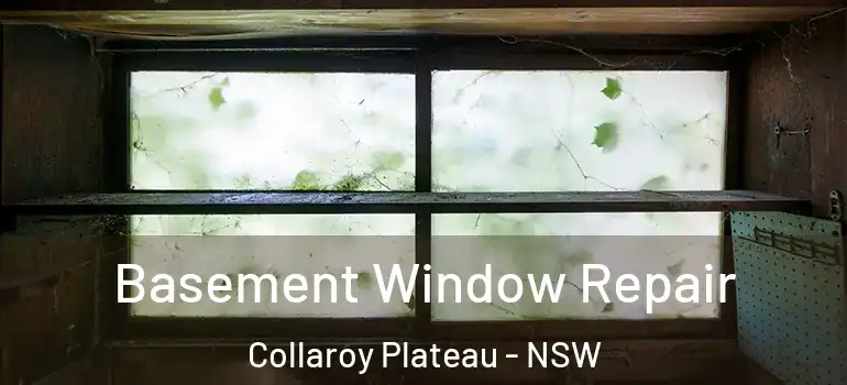 Basement Window Repair Collaroy Plateau - NSW