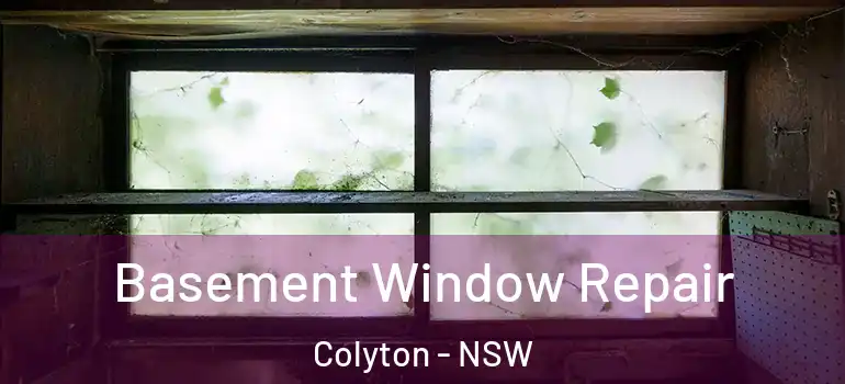  Basement Window Repair Colyton - NSW