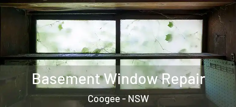 Basement Window Repair Coogee - NSW