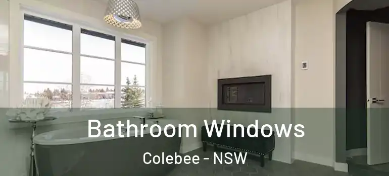 Bathroom Windows Colebee - NSW