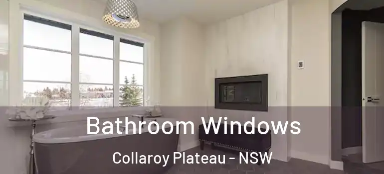 Bathroom Windows Collaroy Plateau - NSW
