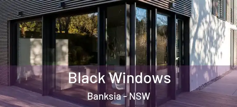 Black Windows Banksia - NSW