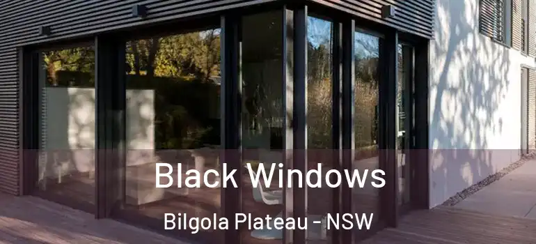 Black Windows Bilgola Plateau - NSW