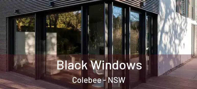  Black Windows Colebee - NSW