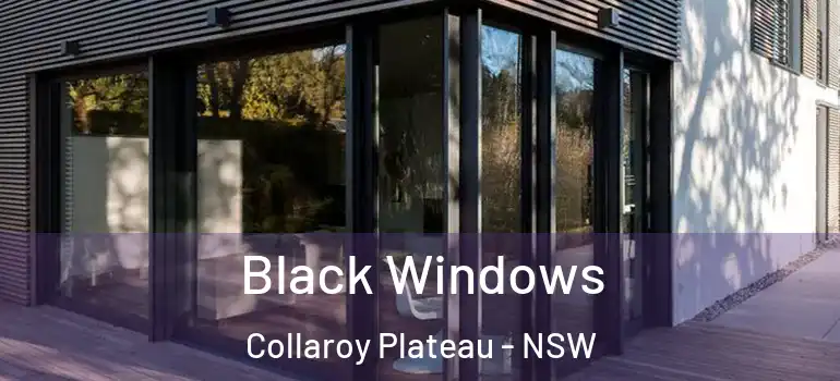 Black Windows Collaroy Plateau - NSW