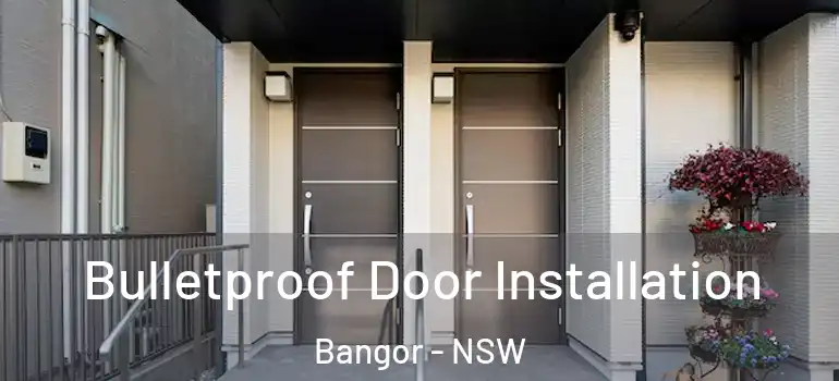  Bulletproof Door Installation Bangor - NSW