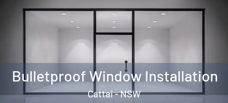  Bulletproof Window Installation Cattai - NSW