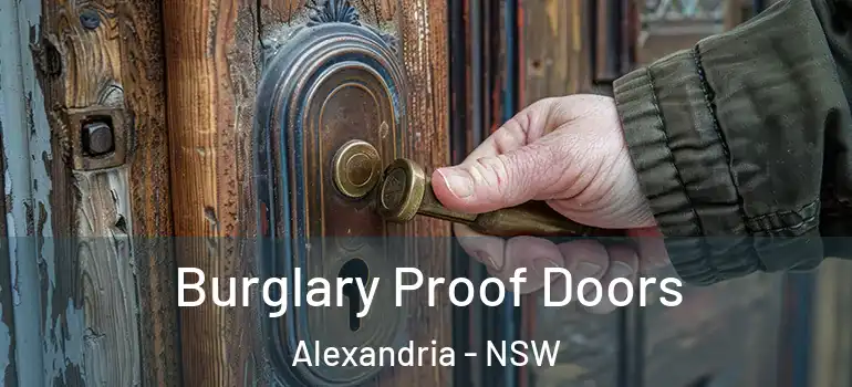Burglary Proof Doors Alexandria - NSW