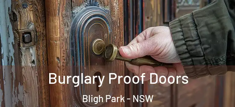 Burglary Proof Doors Bligh Park - NSW