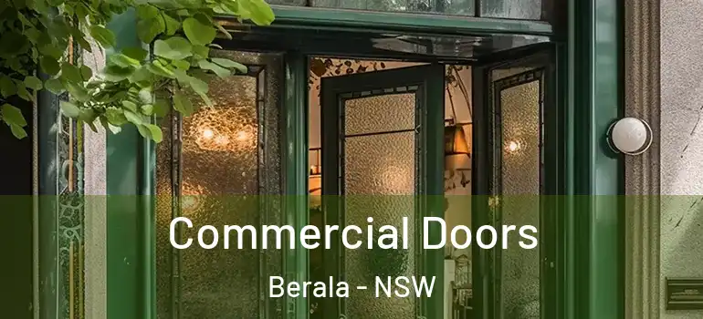 Commercial Doors Berala - NSW