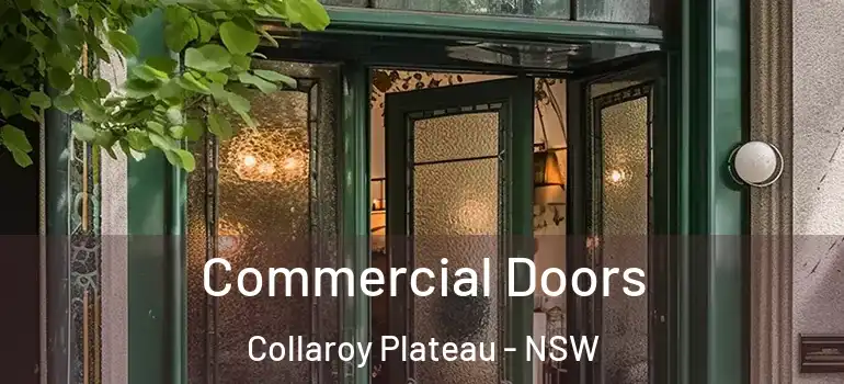 Commercial Doors Collaroy Plateau - NSW
