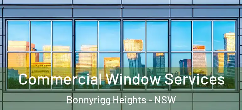 Commercial Window Services Bonnyrigg Heights - NSW