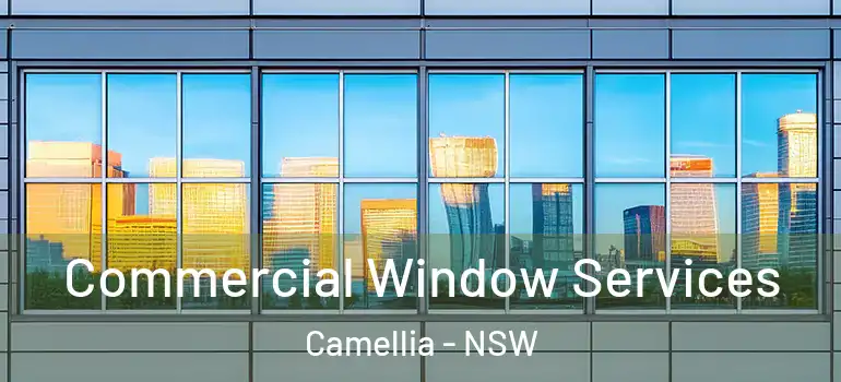 Commercial Window Services Camellia - NSW