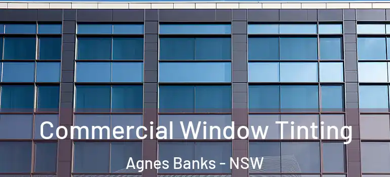 Commercial Window Tinting Agnes Banks - NSW