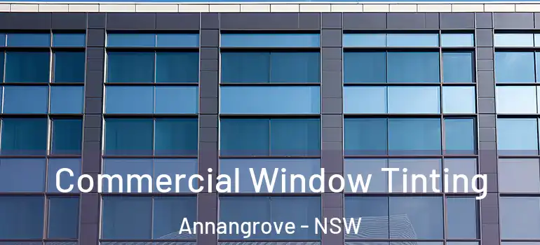Commercial Window Tinting Annangrove - NSW