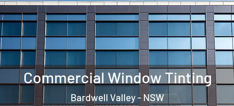  Commercial Window Tinting Bardwell Valley - NSW