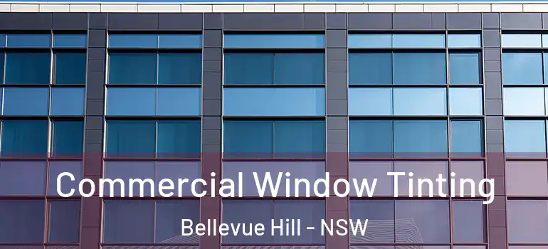  Commercial Window Tinting Bellevue Hill - NSW