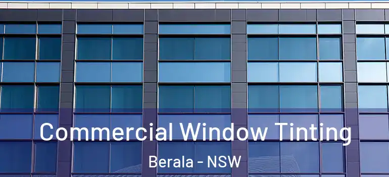 Commercial Window Tinting Berala - NSW