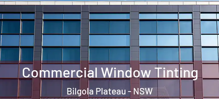  Commercial Window Tinting Bilgola Plateau - NSW