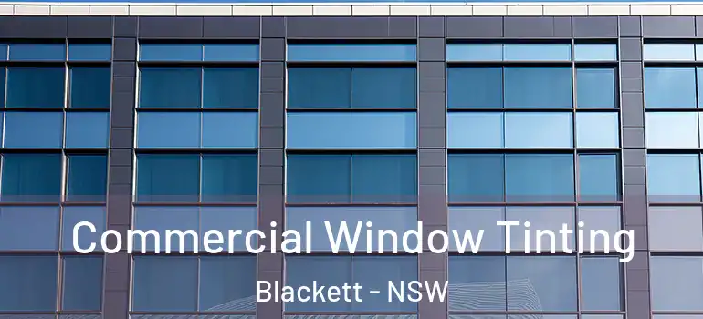  Commercial Window Tinting Blackett - NSW