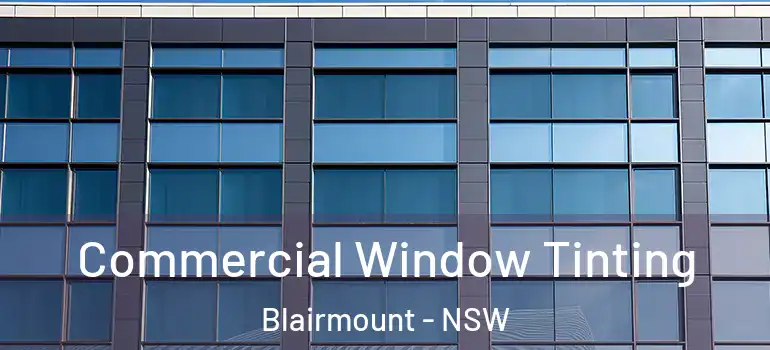 Commercial Window Tinting Blairmount - NSW