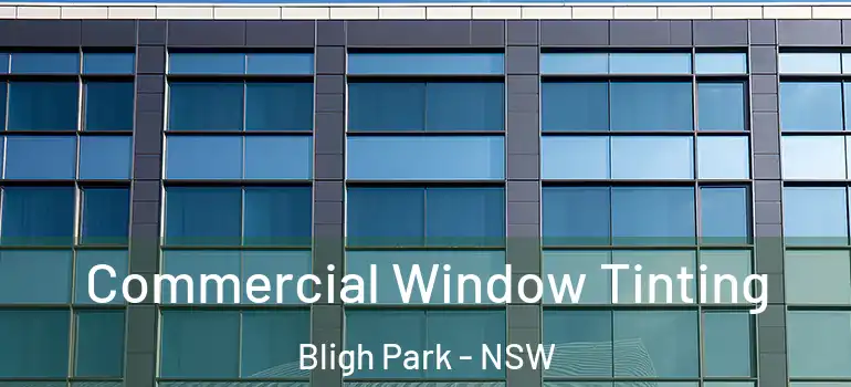 Commercial Window Tinting Bligh Park - NSW