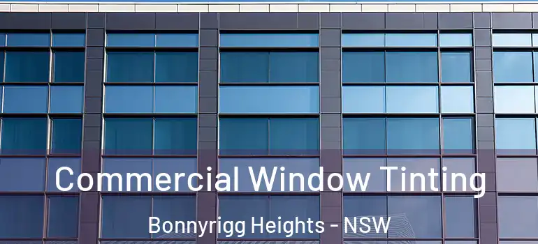 Commercial Window Tinting Bonnyrigg Heights - NSW