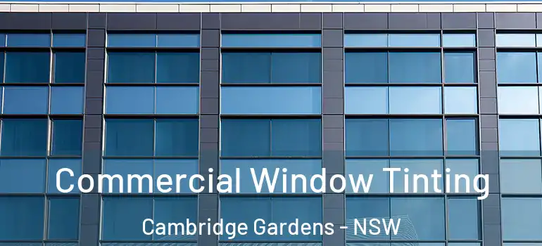 Commercial Window Tinting Cambridge Gardens - NSW