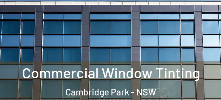  Commercial Window Tinting Cambridge Park - NSW