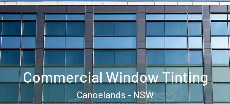 Commercial Window Tinting Canoelands - NSW