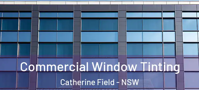 Commercial Window Tinting Catherine Field - NSW