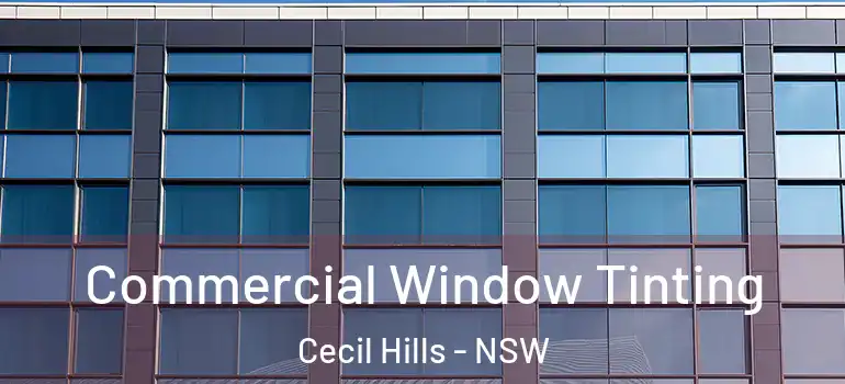  Commercial Window Tinting Cecil Hills - NSW