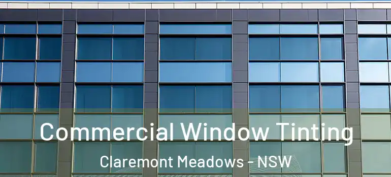Commercial Window Tinting Claremont Meadows - NSW