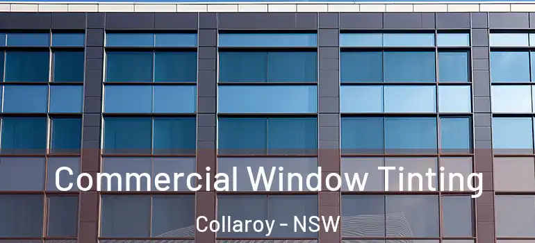 Commercial Window Tinting Collaroy - NSW
