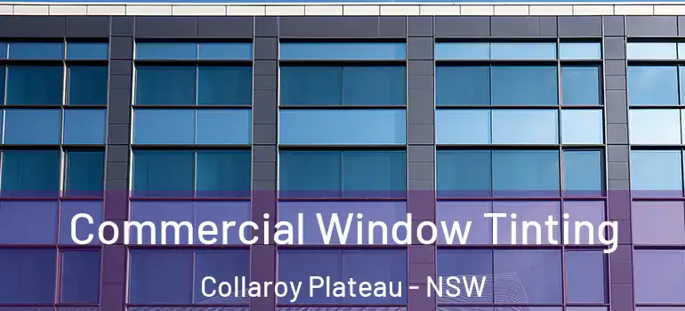  Commercial Window Tinting Collaroy Plateau - NSW