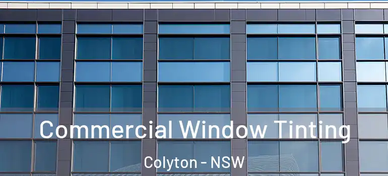 Commercial Window Tinting Colyton - NSW