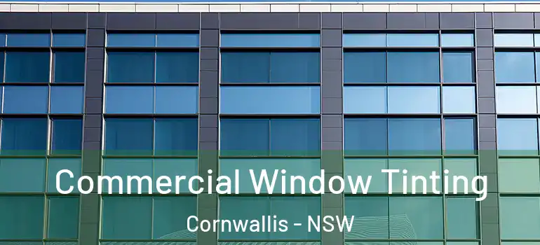 Commercial Window Tinting Cornwallis - NSW