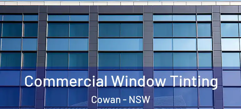 Commercial Window Tinting Cowan - NSW