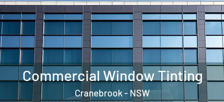 Commercial Window Tinting Cranebrook - NSW