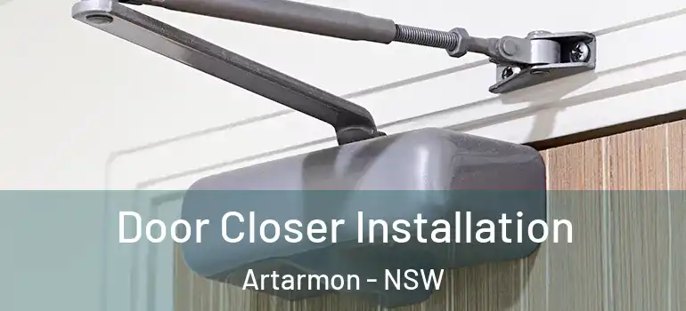  Door Closer Installation Artarmon - NSW