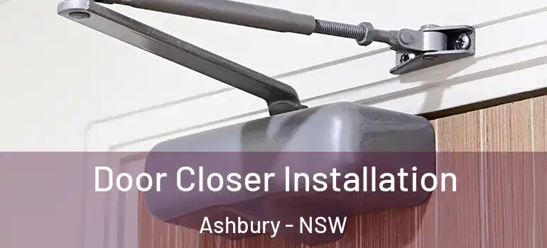  Door Closer Installation Ashbury - NSW