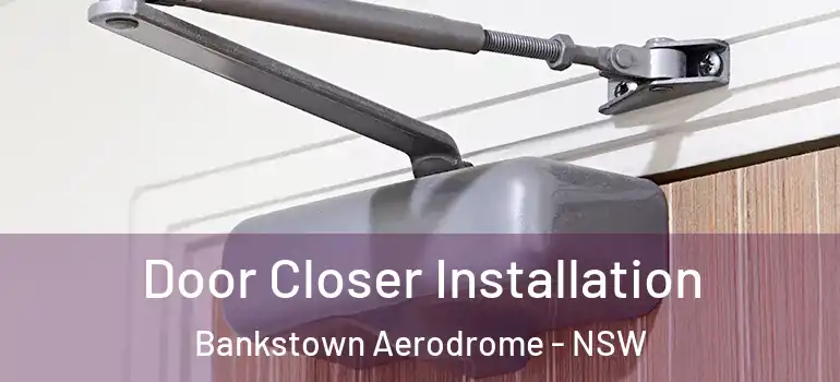 Door Closer Installation Bankstown Aerodrome - NSW
