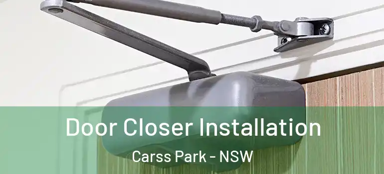 Door Closer Installation Carss Park - NSW