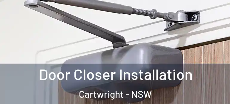 Door Closer Installation Cartwright - NSW