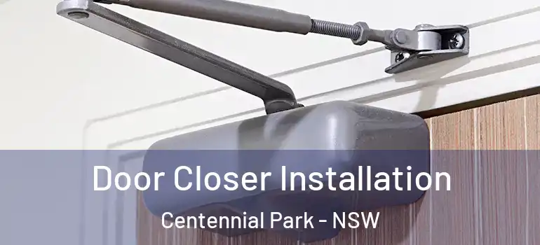  Door Closer Installation Centennial Park - NSW