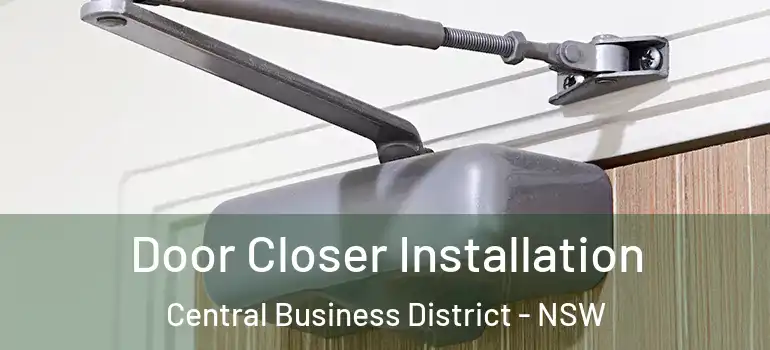  Door Closer Installation Central Business District - NSW