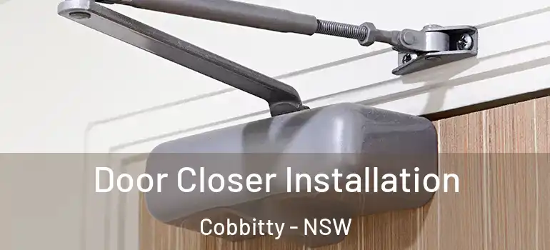 Door Closer Installation Cobbitty - NSW