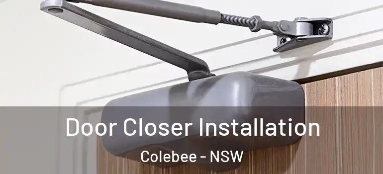  Door Closer Installation Colebee - NSW