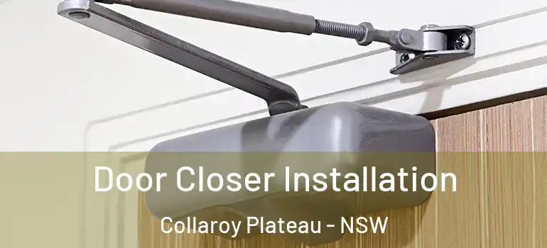 Door Closer Installation Collaroy Plateau - NSW